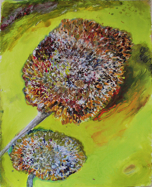 Sunflower Heads; 1999; watercolor; 22.5