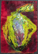 Tomato Embryo; 1998; watercolor; 30.5
